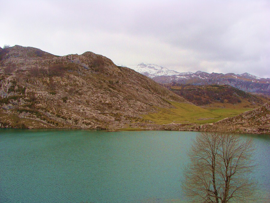 Lago-Enol-Asturias