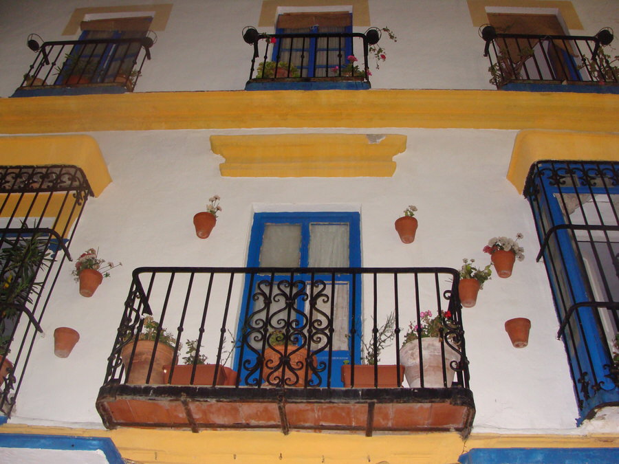 DSC03720