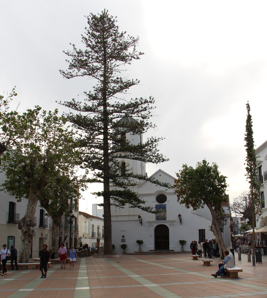 Iglesia-El-Salvador-nerja