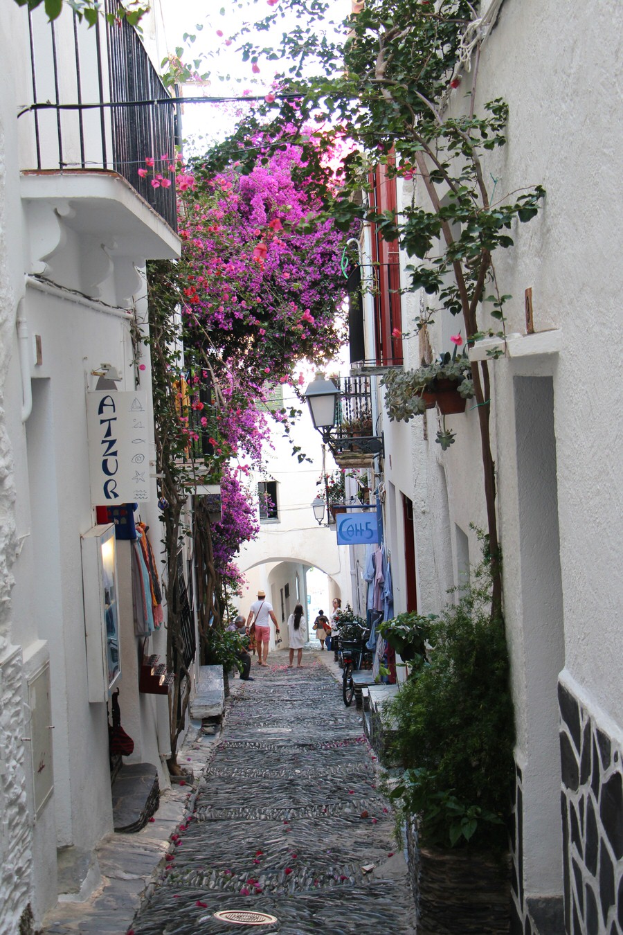 Buganvilla-en-las-calles-de-cadaques