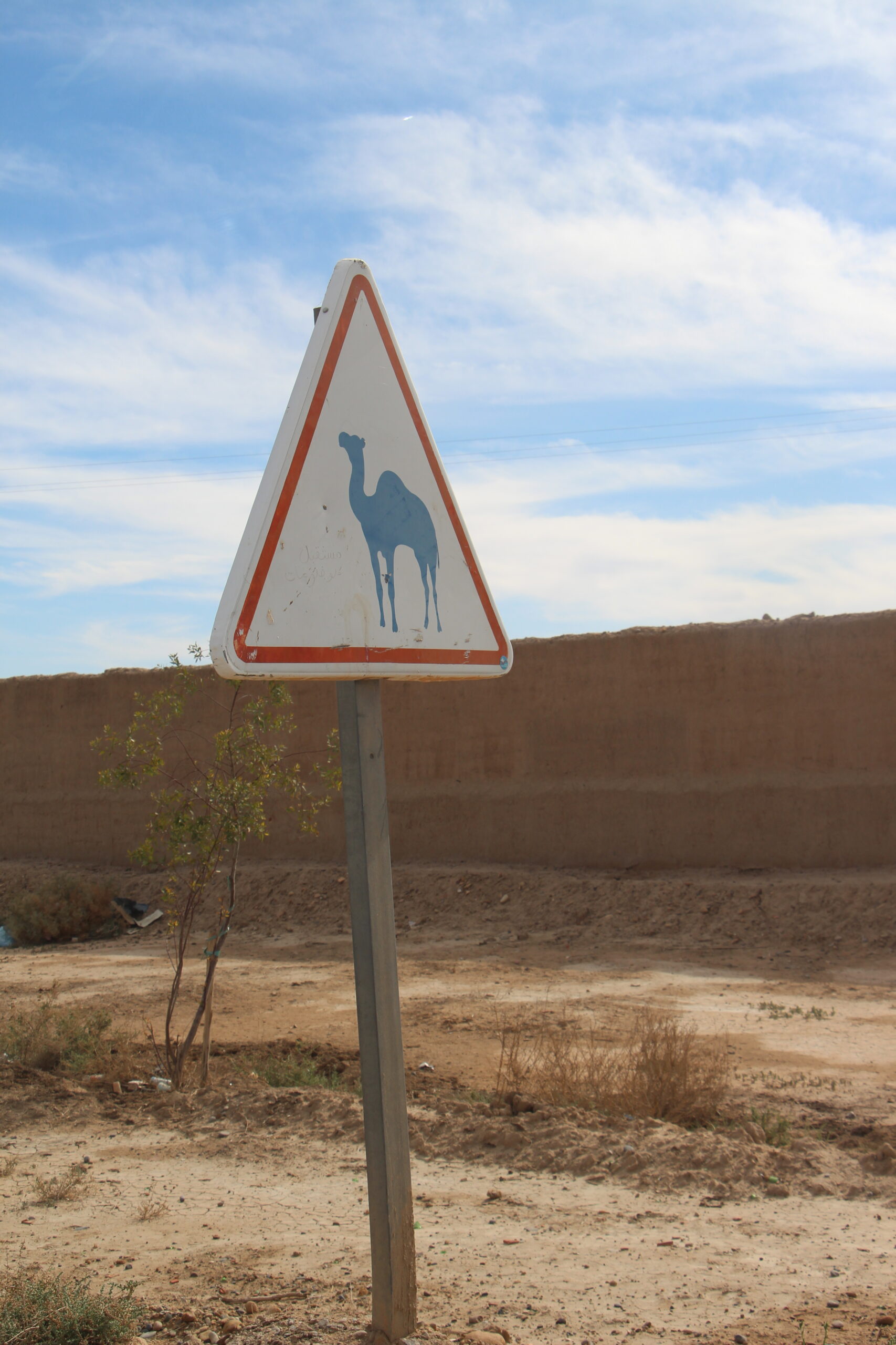 señal-camello-desierto-marruecos