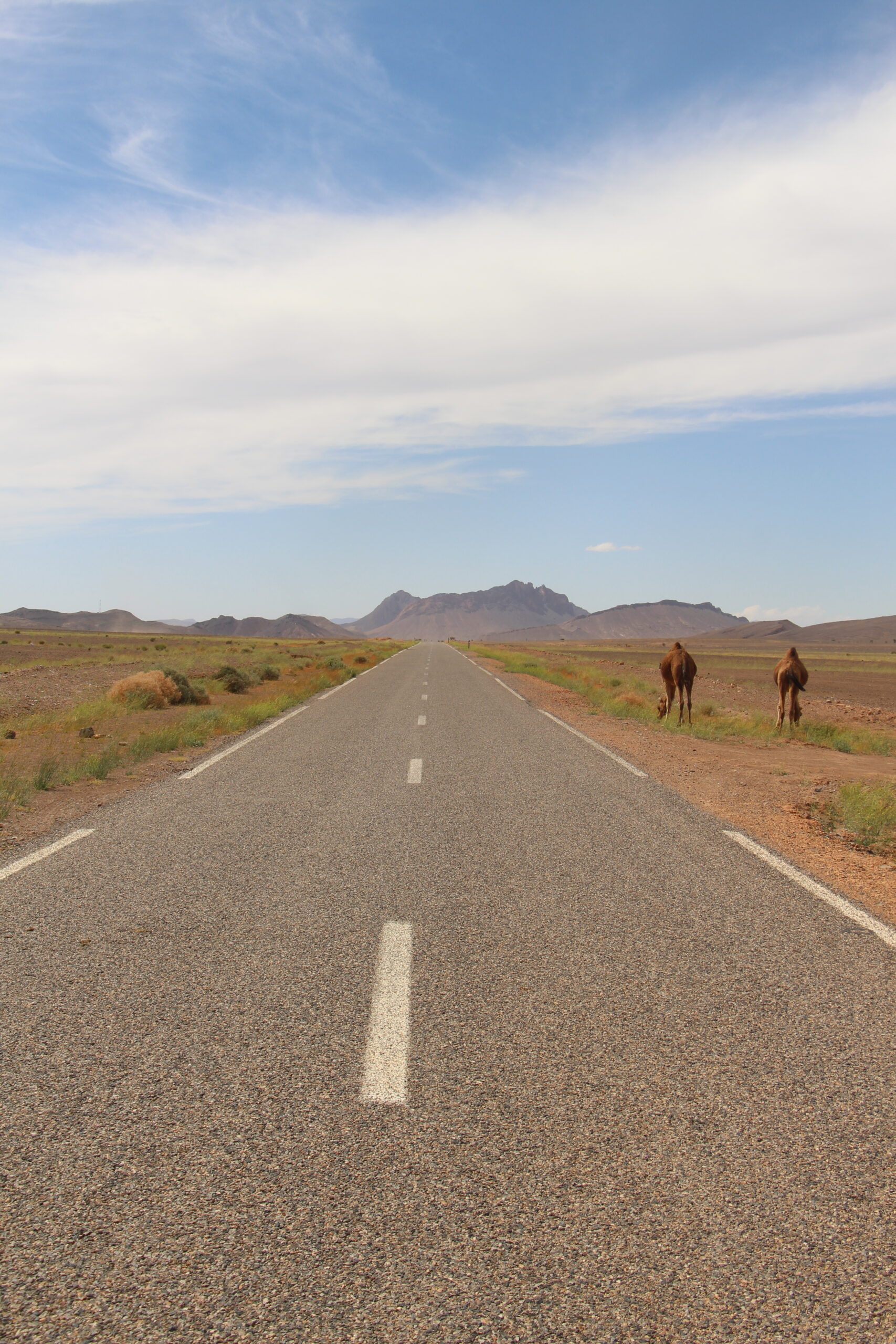 carretera-al-desierto-camellos-marruecos