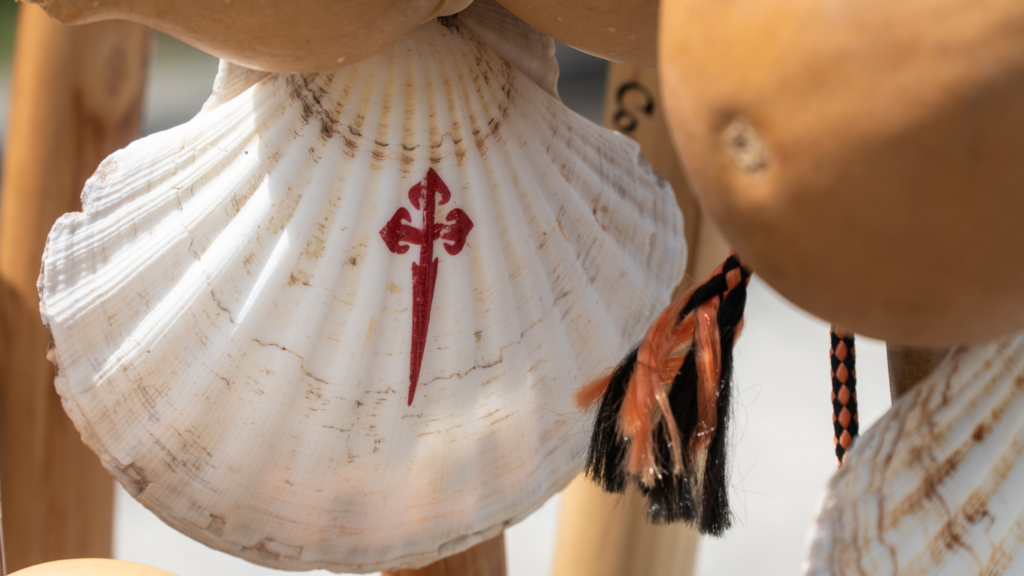 EL-Camino-de-Santiago- organizado-agencia- Santiago-Ways