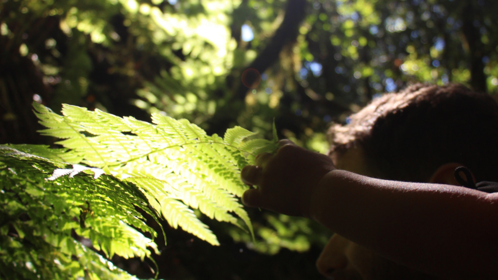 la-gomera-con-niños