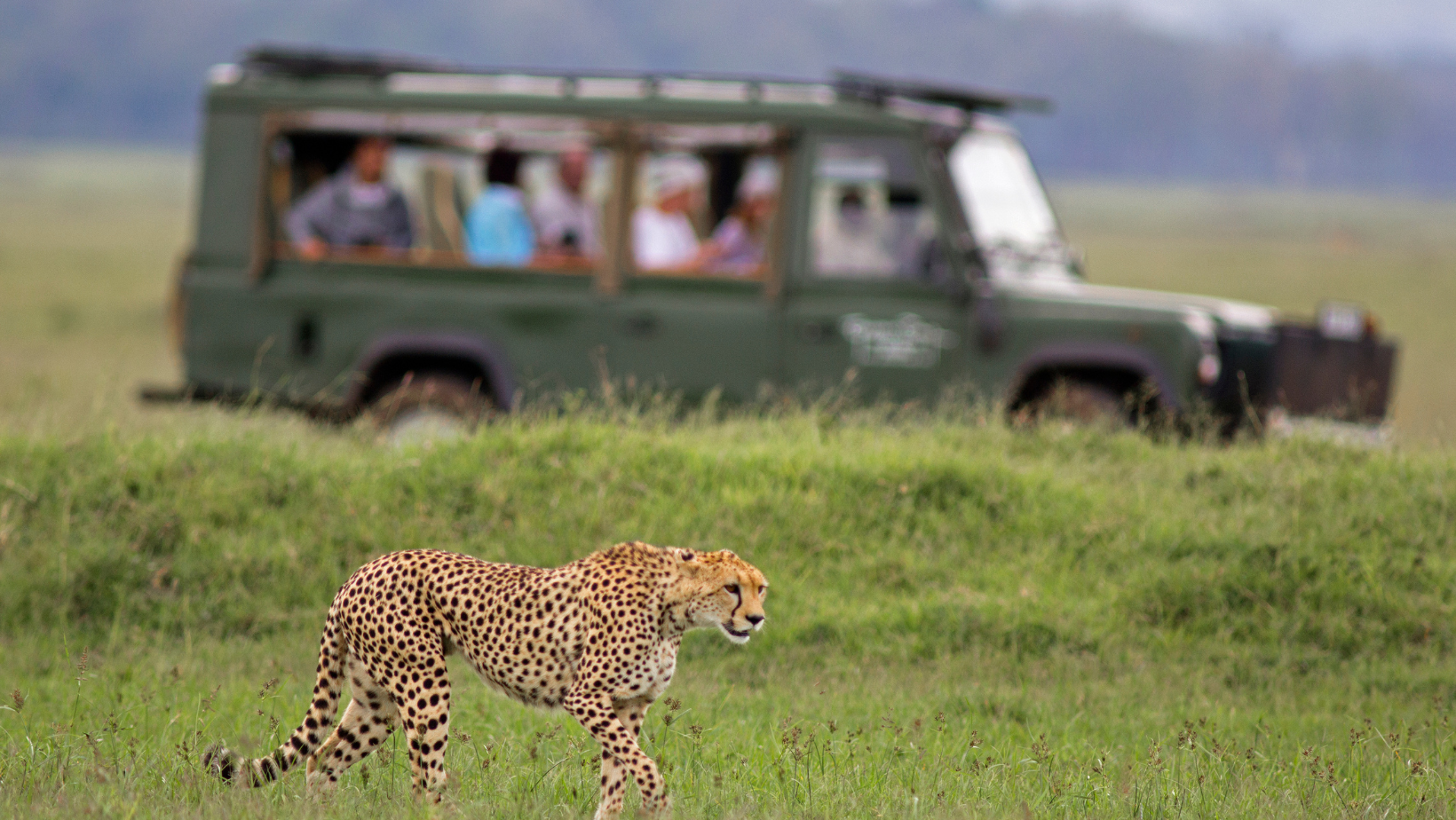 Jeep de safari recorriendo el Parque Nacional del Serengeti en Tanzania