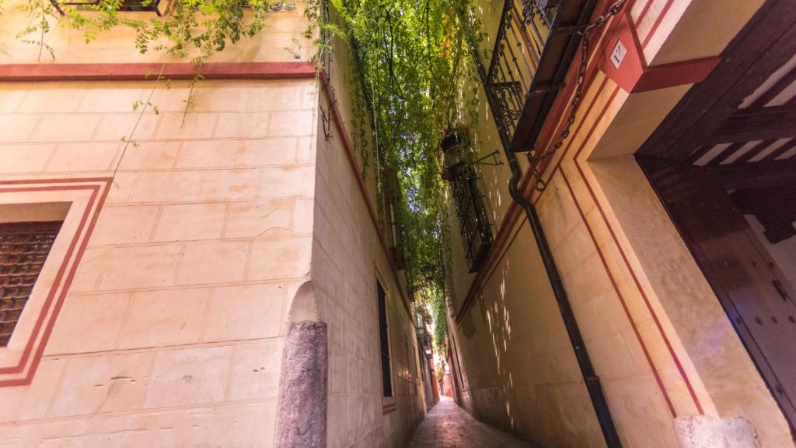 Calles de Sevilla, Calle Verde, rincón tranquilo con patios y flores en Sevilla