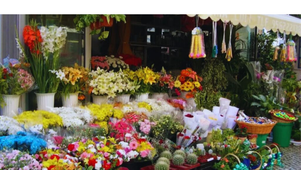 cadiz-en-familia-planes-que-hacer-y-visitar-en-la-ciudad-con-niños