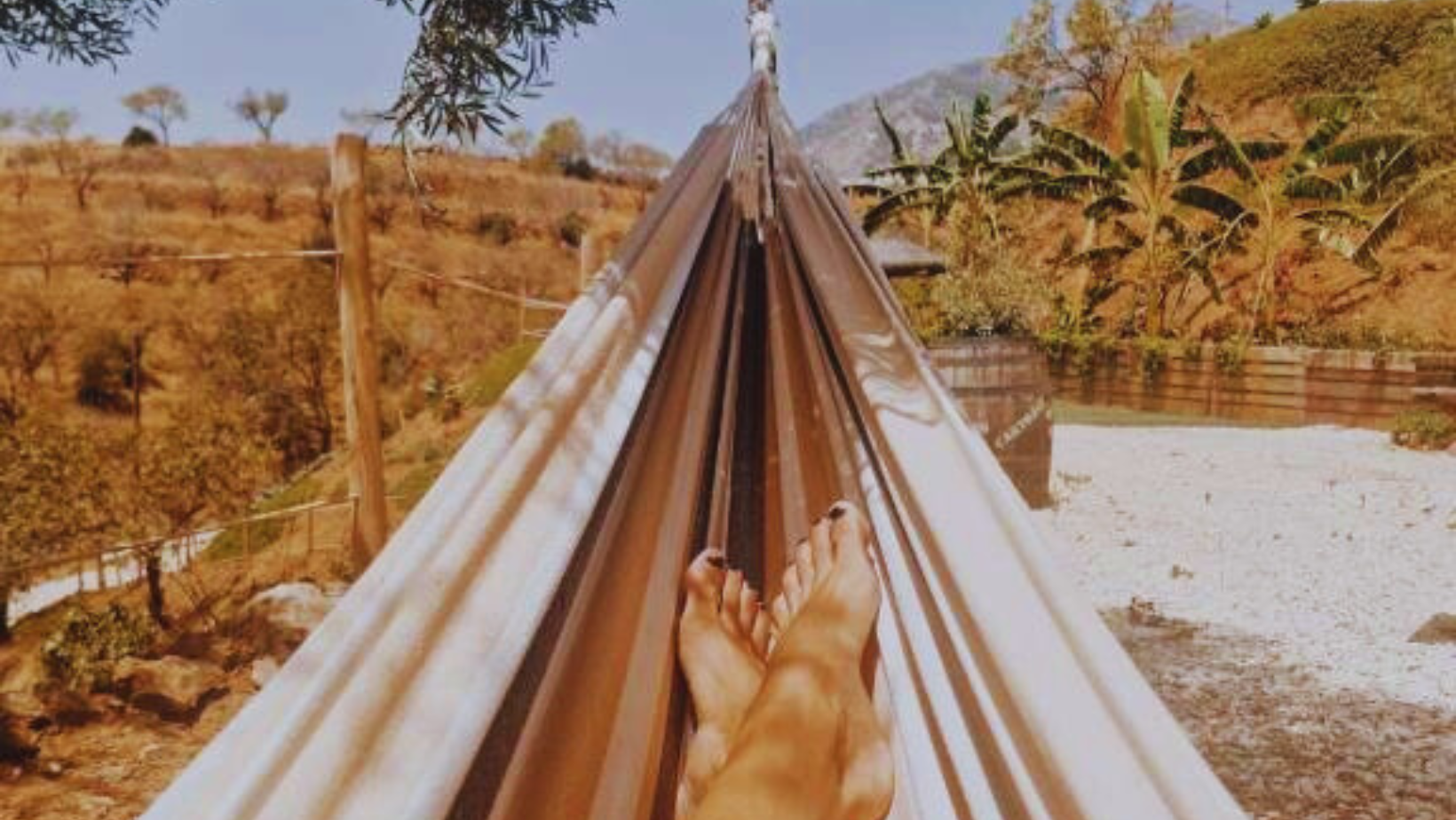 glamping decorado con estilo bohemio entre olivos antiguos en Glamping Finca el Olivo.