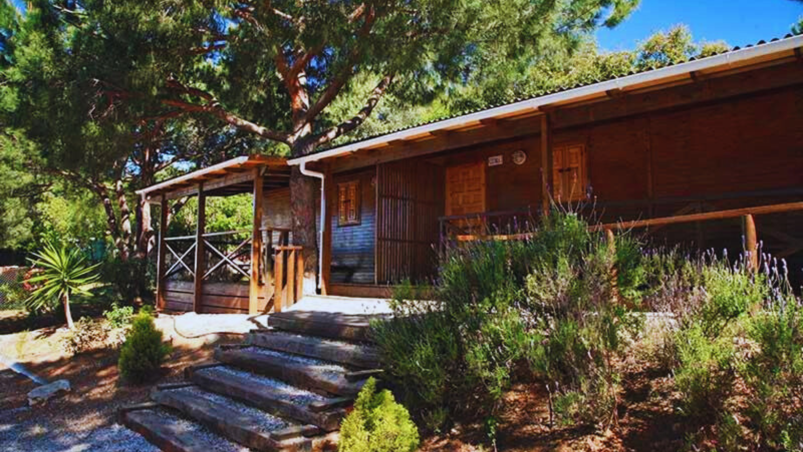 Bungalow bajo los pinos en Camping Cabo Pino.