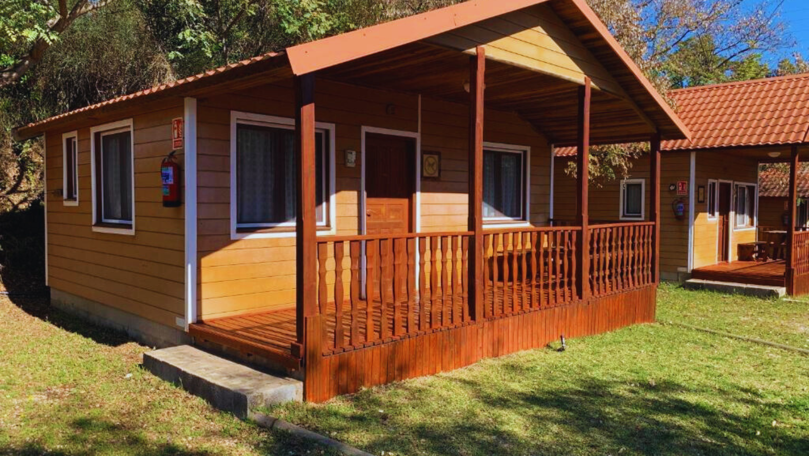 Varios bungalows de madera tradicionales bajo pinos en Camping La Buganvilla