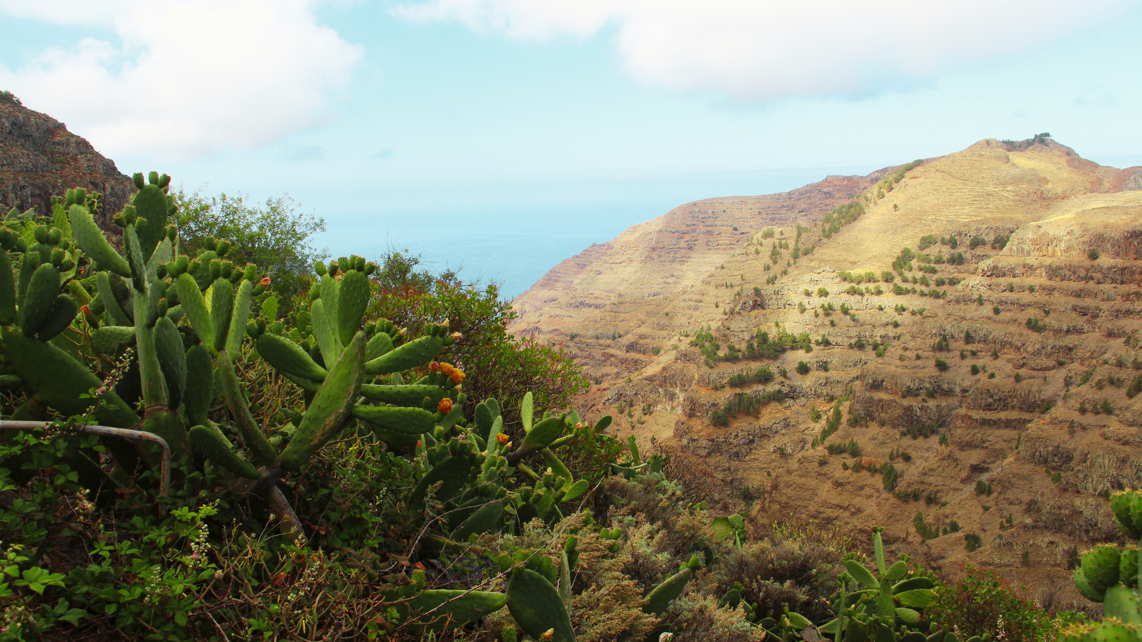 viajar-a-la-gomera-con-niños