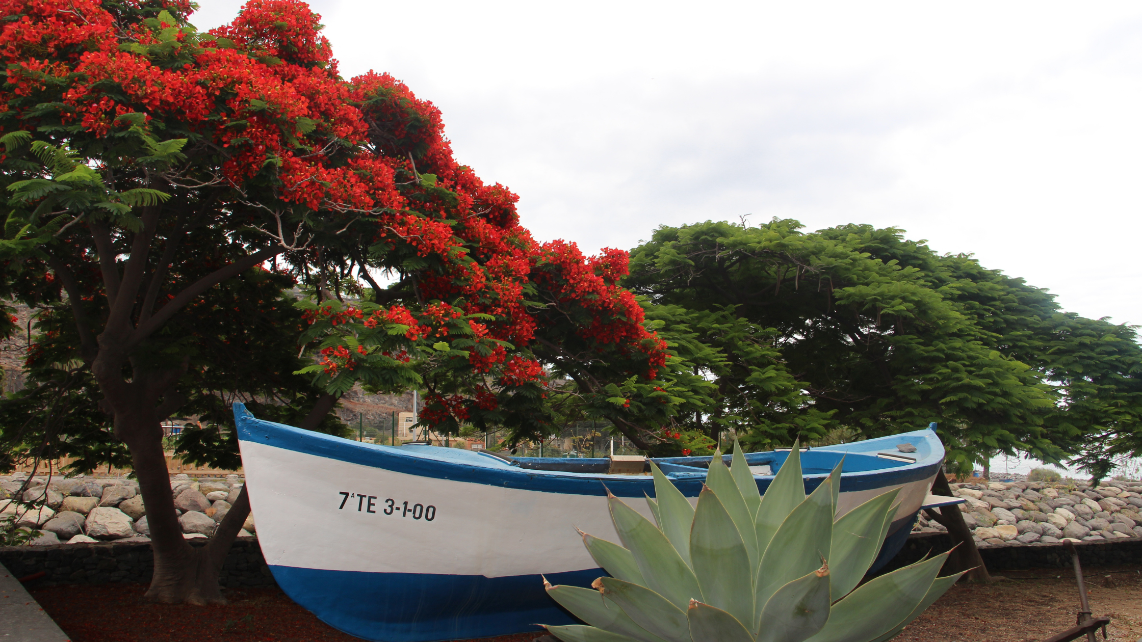 Alajeró-viajar-a-La Gomera-con-niños
