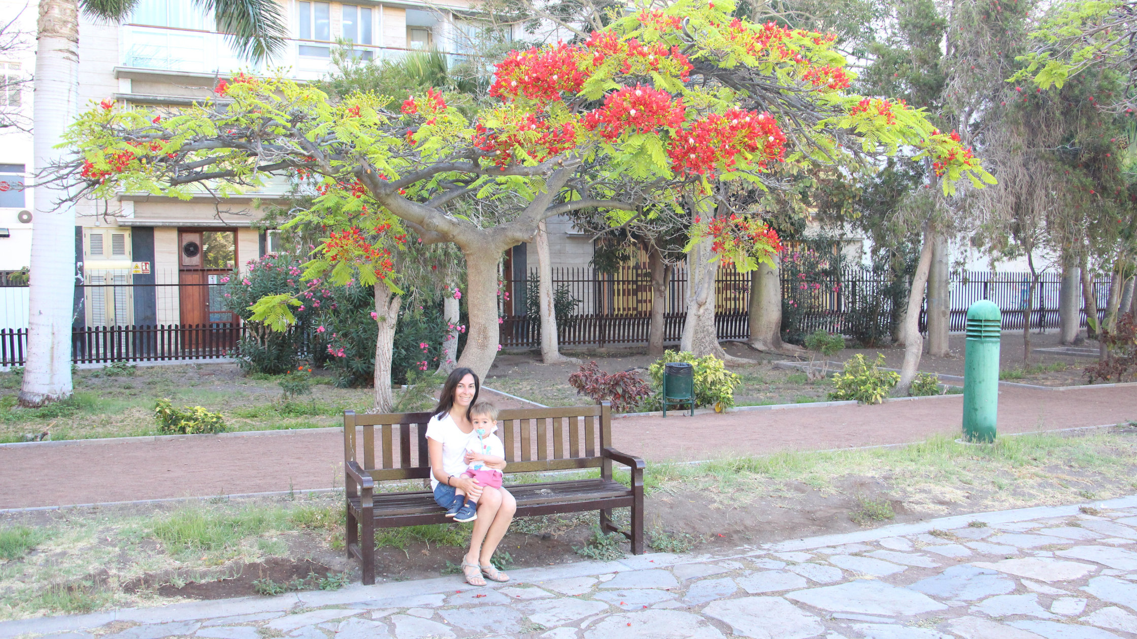 viajar-a-la-gomera-con-niños