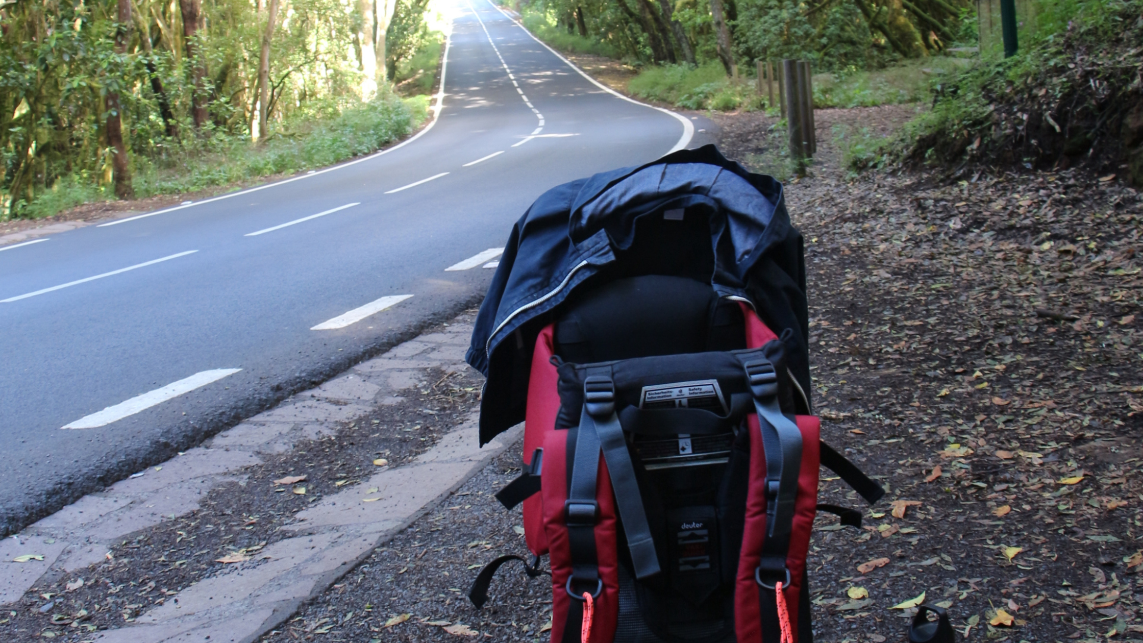 viajar-a-la-gomera-con-niños