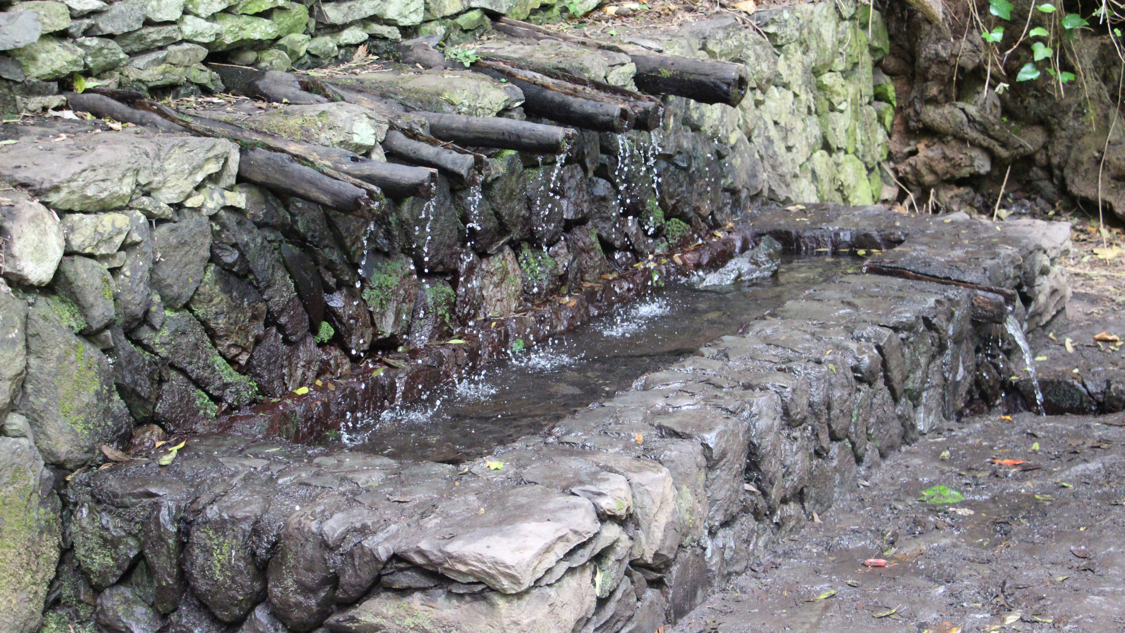 Senderismo-con-niños-en-la-gomera