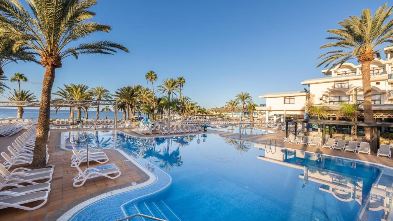 bebe-hotel-grancanaria-grupotel-orquídea