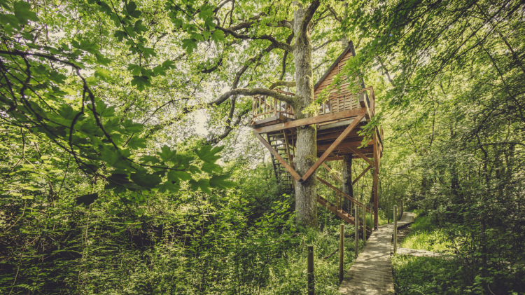 cabañas-arboles-en-españa-basoa-suites-navarra