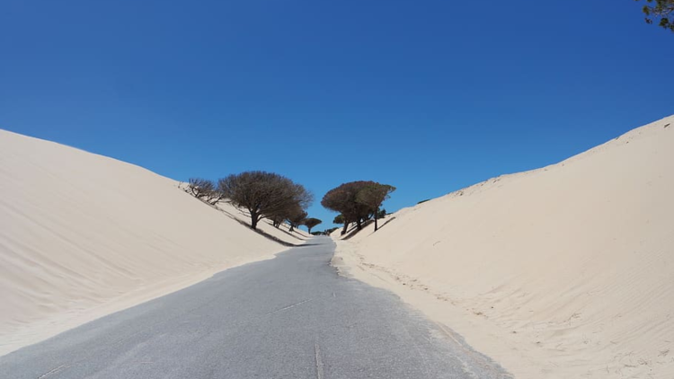 dunas-de-tarifa-direccion-restaurante-el-mirlo