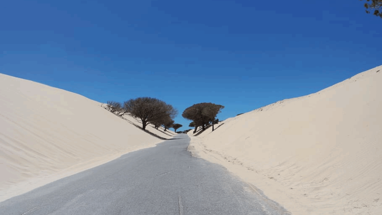 spain-cadiz-tarifa-road-dunas tarifa-pueblo-dunas-direccion-restaurante-el-mirlo