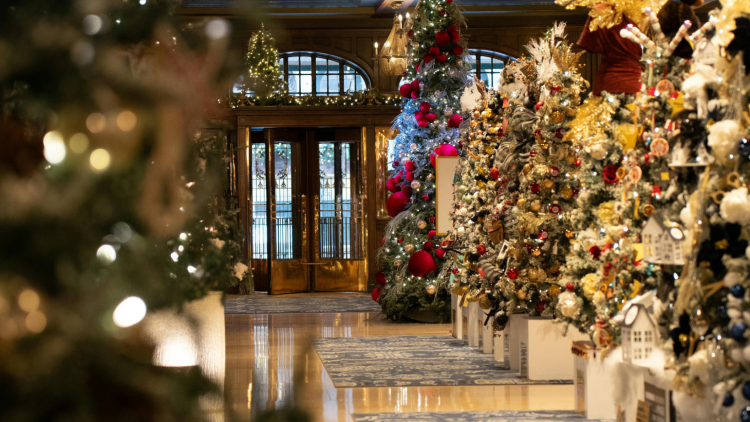 madrid-en-navidad-que-ver-y que-hacer